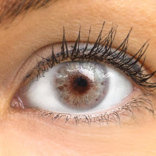 GLAMLENS lentilles de couleur gris naturelles colorées très haute opacité Merida Gray + étuis à lentilles de contact I 1 paire (2 pièces) I 90 Jours I sans correction I 0,00 Dioptries