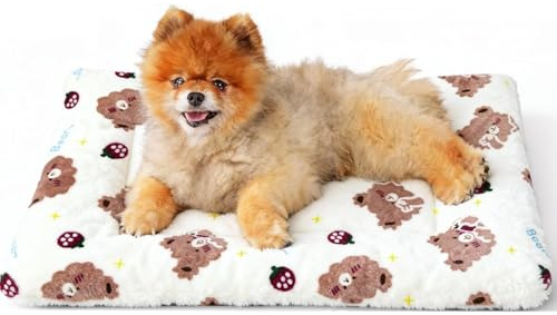Yuqilin Couverture Chien Flanelle Plaid Chien Chaud Respirant Couverture Chat Lavable 70 x 50 CM Plaid Chat Double épaisseur pour Sols Canapés Lits Pelouses (Style Ours)