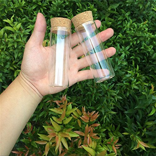 Jarvials 4 Sets of 70ml Transparent Test Tube with Cork Stopper， Food Grade Glass Bottles (4, 70ml)