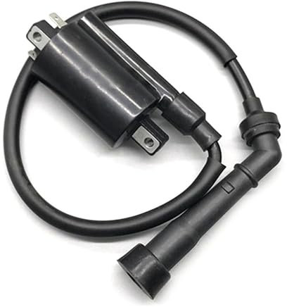 YGUWZ Motorradteile Zündspule mit Kabel und Zündkerzenstecker Kompatibel mit 250CC 300CC Elektromotorrädern
