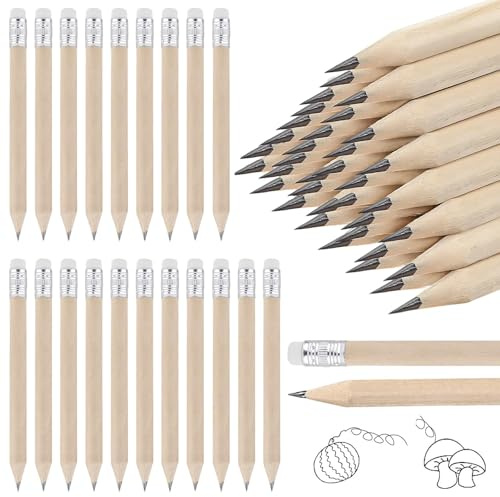 FAYHETG Crayon Papier 110 Pièces Crayon HB de Bois 10CM