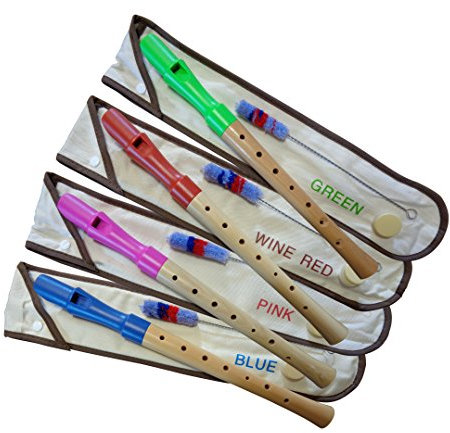 BLOCKFLÖTE - SCHULFLÖTE - GROßE FARBAUSWAHL - C-SOPRAN FLOETE - HOLZFLÖTE - DEUTSCHE GRIFFWEISE - EINFACHLOCH - TASCHE + WISCHER + FETT (FP7 grün)