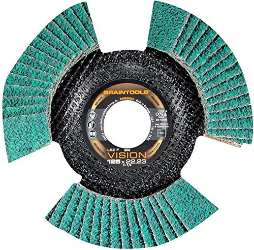 Rhodius LSZ FS VISION K80 80G 115 MM Disco lamellare trasparente, grana fine in ossido di alluminio, compatibile con smerigliatrice angolare, smerigliatrice