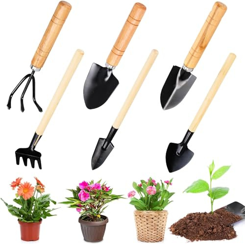 Byffoer Set di attrezzi da giardino, 6 pezzi, paletta da giardino, piccolo set di attrezzi da giardino, mini attrezzi da giardino, attrezzi da giardino, strumenti per bonsai, piante, fiori in vaso,