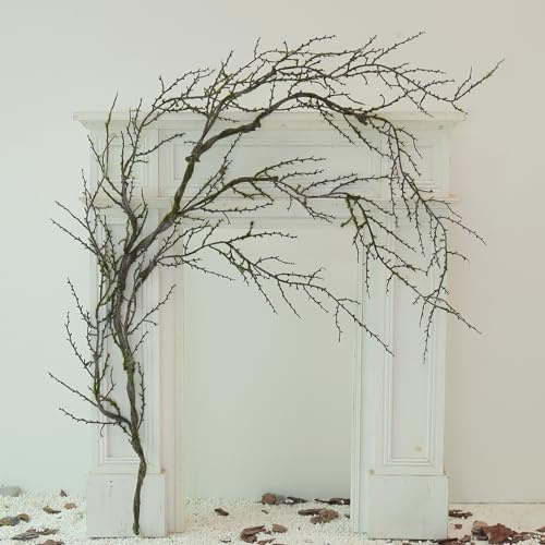 190cm/74.8inch Artificial Creepy Flexible Tree Branches Faux Grape Vines Garland Twigs with Moss Wood Craft for Halloween Door Wall Hanging Cottage Haunted Mansion Theme Outdoor Mantel Decoration (1)