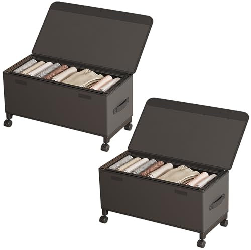 ACESOME 2 cassettiera sotto il letto con ruote, scatola portaoggetti pieghevole sotto il letto, con coperchio, telaio in metallo, organizer per vestiti, scarpe (nero)