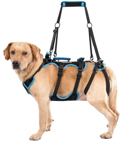 Lafoty Arnés de Apoyo para Patas Traseras – Arnés de Levantamiento para Perros Grandes, Sling 2 en 1 para Perros Mayores y Apoyo en Movilidad(Negro, Mediano)