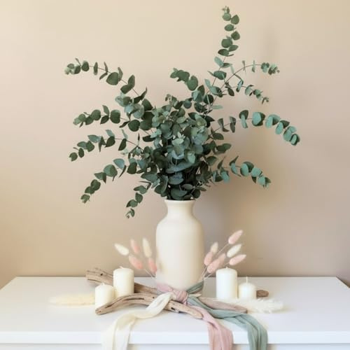 PETALES BOHEME - Bouquet Eucalyptus Stabilisé Grande Tige Branche de 70 cm Eucalyptus séché Naturel Préservé - Variété : Stuartiana pour Mariage Décoration Centre de Table - Artisanat de France