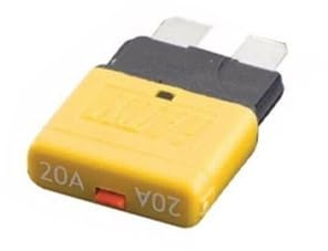 Gettimore Disjoncteur à lame réinitialisable 12 V 24 V 5-30 A pour automobile pour VR marins, type ATC compatible avec boîte à fusibles standard, protection thermique, réinitialisation automatique