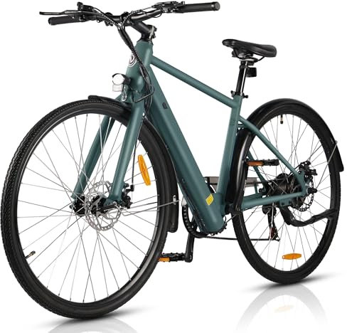 AOIHO E Bike, 28'' EBike Herren E-Bike Damen mit Drehmomentsensor, 250W Motor Electric Bike Trekkingrad E Fahrrad mit 6-Gang, 3 Modi, LCD-Display, Elektrofahrrad Damen für Erwachsene E Fahrrad Herren