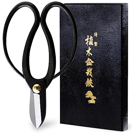 Wazakura Koryu Ikebana blommig sax 170 mm tillverkad i Japan – svart