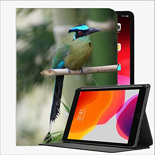 Funda de Cuero para la Nueva Estuche de generación del iPad 8º / séptimo, Caso del iPad 10.2, la Rama de Color de la pájaro del Moto amazónico # 6