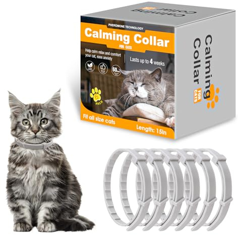 Beruhigendes Halsband für Katzen, Pheromon-Katzenhalsband, zur Linderung von Angst und Stress, verstellbar, wasserabweisend, beruhigende Halsbänder, 6 Stück (grau)