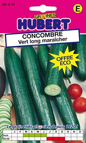 Graines de Concombre vert long maraîcher Format ECO - 9 grammes