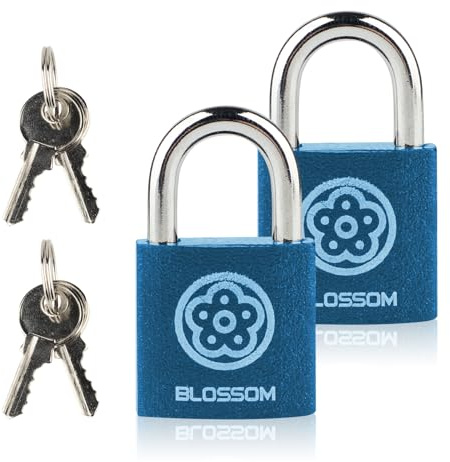 2 Pack Iron Padlock with Keys Heavy Duty Padlock High Security Padlocks, Key Padlock for Doors, Shed, Warehouse, Garage, Office, Cabinets (2, 25mm)