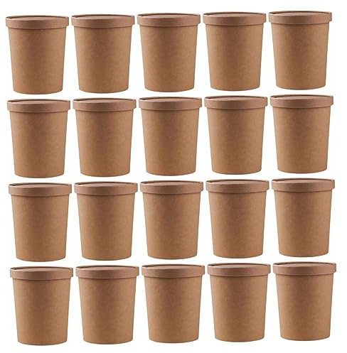 Beaupretty 25sets Porridge Cup Coated Soup Bucket of Cups Lids Storage Containers for Soup Ice