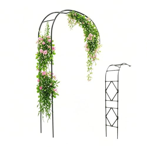 Arche de jardin en métal pour plantes grimpantes, treillage noir de 0,6 m, tonnelle d'intérieur/extérieur, support de tonnelle, pergola de jardin pour fleurs et vignes