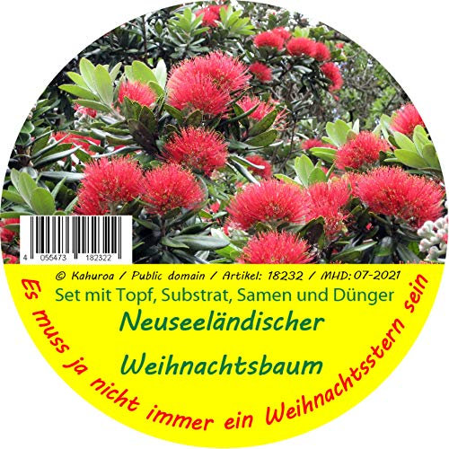 Saflax 18230 Neuseeländischer Weihnachtsbaum (Neuseeländischer-Weihnachtsbaumsamen)