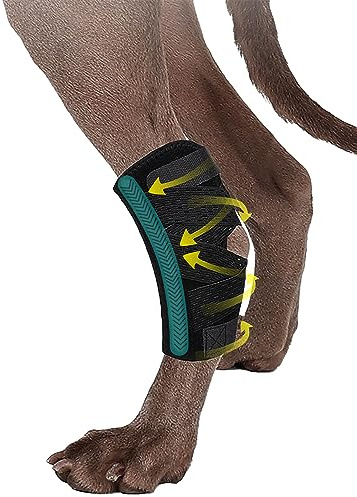 MeiAOBest Hundebeinbandagen für Hinterbein, Hunde-Sprunggelenk-Bandage mit zwei Metallfedereinsätzen, Hunde-Sprungschiene mit Frakturen, Wundheilung, Verstauchungen und Arthritis bei Hunden_S/M