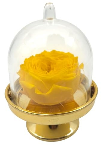 Genérico Rosa gialla ETERNA. Cupola con piede. Rosa preservata gialla. Fiori conservati. Acquista Fiori conservati Gialli. Regalo originale, anniversario, compleanno, innamorato