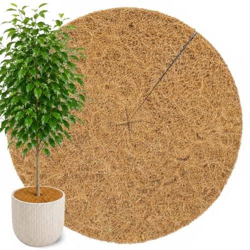 NOOR Kokosscheibe PRO - Mulchscheibe für Pflanzkübel Ø 60 cm - 1,3 cm stark | natürlich isolierende Kübelabdeckung als Pflanzen- & Winterschutz - Kokosdisk mehrfach verwendbar & biologisch abbaubar