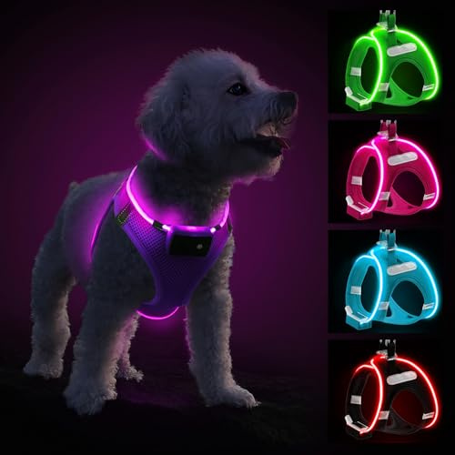 PcEoTllar Leuchtgeschirr LED, aufladbar & reflektierend für Hunde, Lila-XS | Hundegeschirr leuchtend, beleuchtetes Leuchtgeschirr für Welpe, kleine & mittlere Hunde. Atmungsaktiv, 9 Modi.