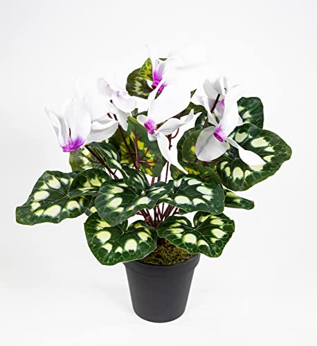 Seidenblumen Roß Alpenveilchen 36cm weiß-lila im Topf ZF künstliche Blumen Kunstpflanzen Kunstblumen Cyclamen