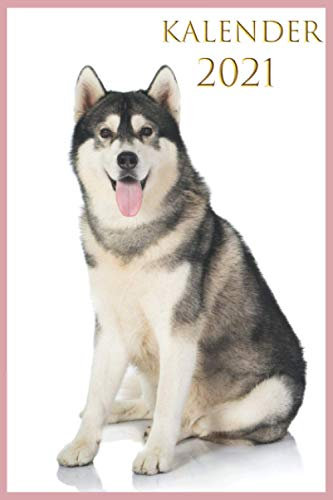 KALENDER 2021: Tagesplaner a5 kalender 2020 2021/ kalenderbuch 2021 / November 2020-Dezember 2021/ mini Planer 2020 2021 | 1 Woche auf 2 Seiten | ... Jahresplaner 365 tage Hund Husky Geschenk