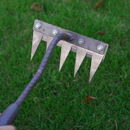 Pessrrtewg Râteau de désherbage de jardin en acier au carbone 5/6/7/8 dents, râteau de jardin en métal robuste, outils de désherbage à main, râteau en fer pour jardinage et désherbage, râteau de