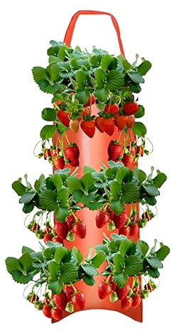 Ancsttu Sacos De Cultivo para Fresas,Bolsas De Cultivo para Fresas Abajo - Accesorio De Jardinería para Cultivar Frutas En Maceta Al Aire Libre En Balcón Patio Terraza