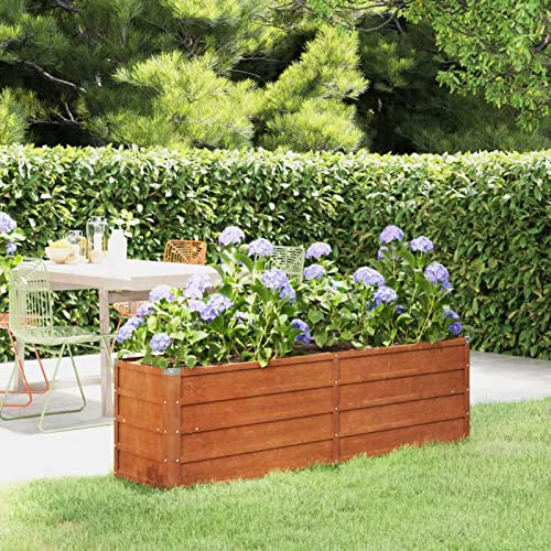 BaraSh Lit surélevé de Jardin rouillé 160x40x45 cm Acier corten,Bordure Pierre,Kit Gabion,Gabion Jardiniere