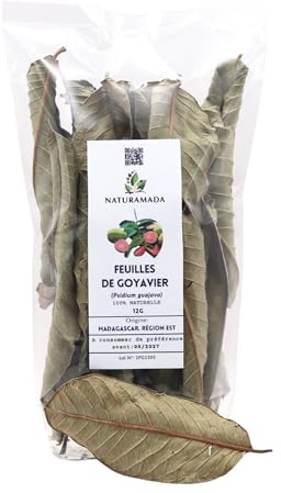 Hojas de Goyavier Secas, Psidium Guajava, Origen Madagascar, para Infusiones y Cocina - Naturamada (25g)