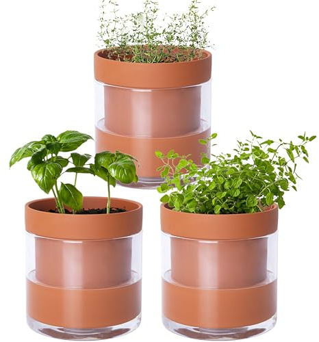 Phoenix Vine 10,2 cm selbstbewässernder Pflanztopf aus Terrakotta-Ton, mit Glasspeicher für Zimmerpflanzen, Kräuter, Blumen, 3er-Set, 52-A-E-3