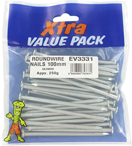 XTRA VALUE Galvanised Round Wire Nails 100mm/250g