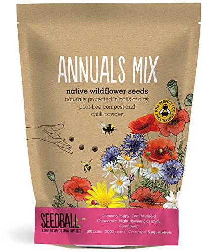 SEEDBALL - Annual Seed Mix, UK Native Wildflower Seeds, Seed Balls of Plants Outdoor Garden Ready, Gardening Gifts for Women, Easy Grow Flower Seeds, 100 Seed Balls
