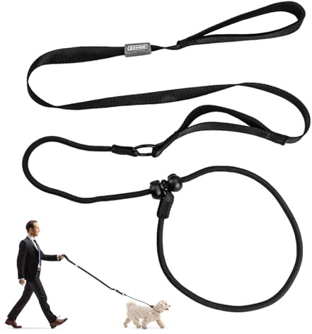 1,7 m lange Trainingsleine für Hunde, mit verstellbarem Gummihalsband