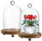 2pcs Glass Cloche Display Dome 6.4x3.7 inch Decorative Glass Display Bell Jar Centerpiece Display Case for Wedding Decor