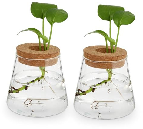 Cabilock Glasvasen-Set Für Den Schreibtisch 2-teilig Wasserlos Für Terrarien Moderne Dekoration Für Zuhause Und Büro Vulkanform 16 5 cm