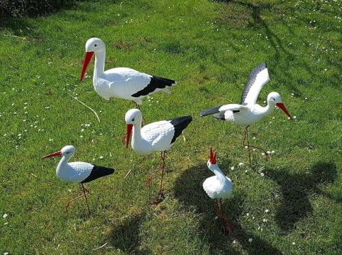 Grande Famille de 5 Cigognes de Jardin (Dont 1 en Vol) – Kit XXL Sculpture Statue Figure