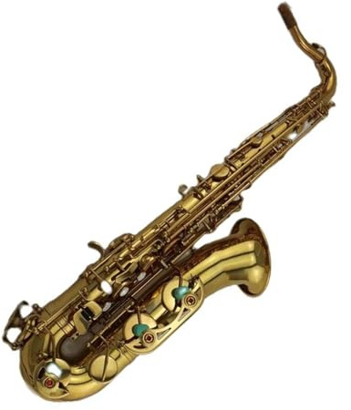Saxophone für Musikliebhaber Altsaxophon C Tonart vergoldetes Instrument
