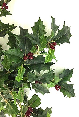 Neofleur Holly Bush 10 Stem 40cm Variegated Green Leaves with Red Berries (Green Leaves)