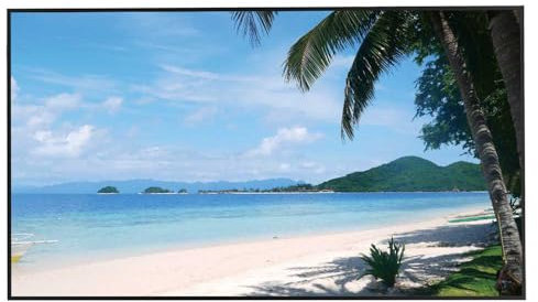 Dahua 4K serie 55 pollici UHD 16:9 LED Monitor. ingresso 1 DP. 2 HDMI. 1 VGA. cavo di alimentazione, cavo HDMI e telecomando inclusi