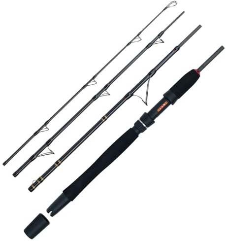 WFT Go North II 4pcs. 20lbs 2,10m 100-400g Meeres-Reiserute