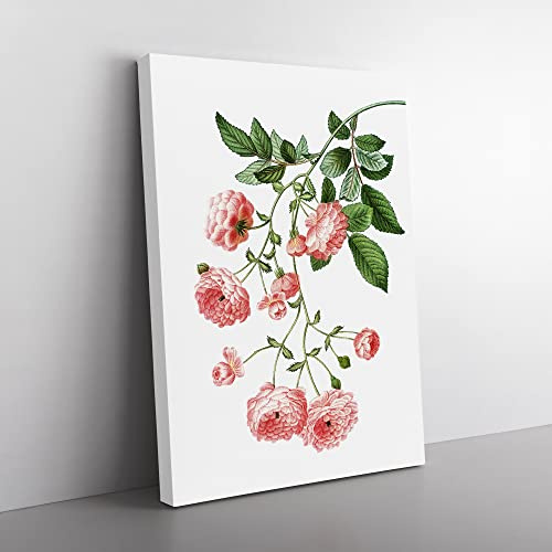 Rambler Roses By Pierre Joseph Redoute Vintage Canvas Wall Art Print Ready to Hang, Framed Picture for Living Room Bedroom Home Office Décor, 60x40 cm (24x16 Inch)