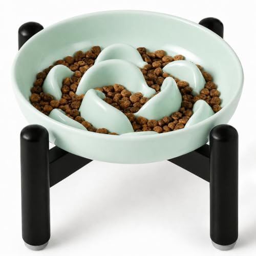 Ciotola Anti Ingozzamento Gatto Rialzata - Ciotola in Melamina con Supporto in Acciaio Inossidabile Antiscivolo - Per Alimentazione Lenta - Verde menta