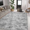 ASIinnsy Alfombra Salón Pelo Largo Shaggy Alfombras de Habitacion Modernas Grandes Gris Alfombra Antideslizante Suave para Dormitorio Comedor Alfombra de Felpa (160 x 200 cm, Gris Blanco)