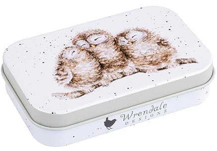 Wrendale Designs Mini scatola di latta con gufetti