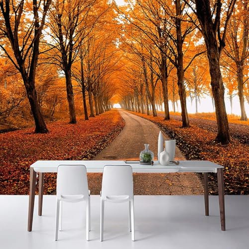 Tzxztt Herbst Maple Grove Pfad Moderne 3D Tapete Geprägte Seide Neutrale Töne Material Ideal Für Wohnzimmer Schlafzimmer-300cm×210cm
