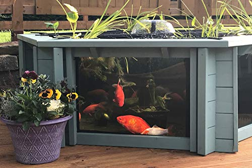 Lily Clear View Garden Aquarium Bassin hexagonal surélevé Vert