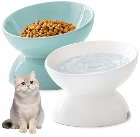 Katzennapf Erhöht - 2 Stück Futternapf Katze Erhöht, Erhöhter Katzennapf Keramik, Kipphals-Schutzschale Katzen Futternapf, Katzennäpfe Perfekt für Katzen, Welpen Kleine Hunde